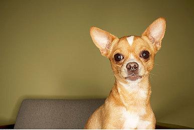 《文字游戏》2022年1月21日正式上线 登陆PC及Mac平台